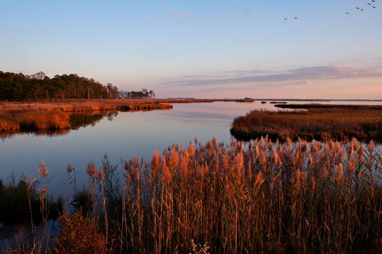 Discover the Ideal Late Fall Escape in Cambridge, Maryland – Mirror Brief